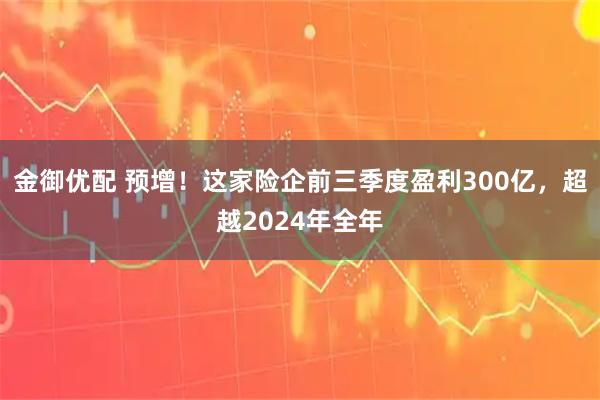 金御优配 预增！这家险企前三季度盈利300亿，超越2024年全年