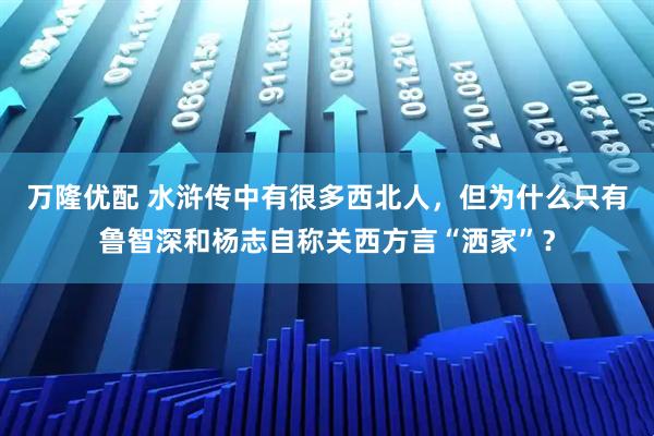 万隆优配 水浒传中有很多西北人,但为什么只有鲁智深和杨志自称关西方言“洒家”?